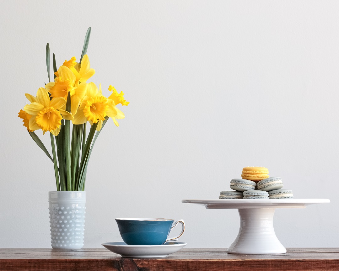 Daffodils pictured in vase with tea cup and macaroons