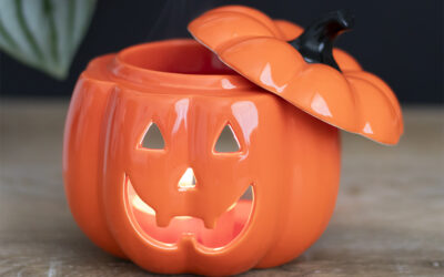 How did Halloween Originate and how can we Help you Celebrate This Year?