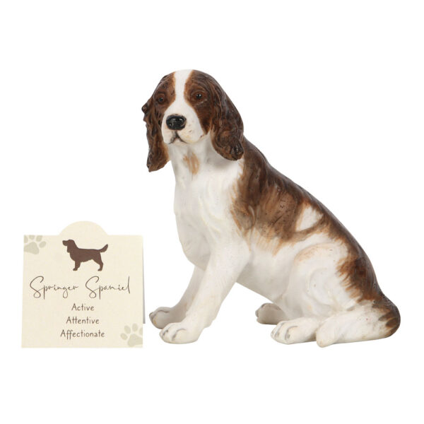 Springer Spaniel and Sentiment Card