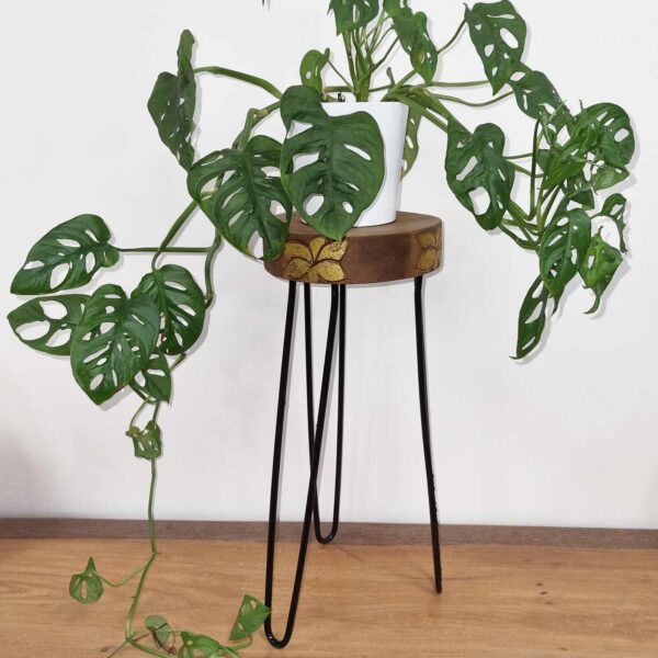 Albasia Wood Plant Stand - Natural and gold detail