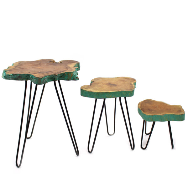 Set of 3 Gamal Wood Plant Stands - Greenwash